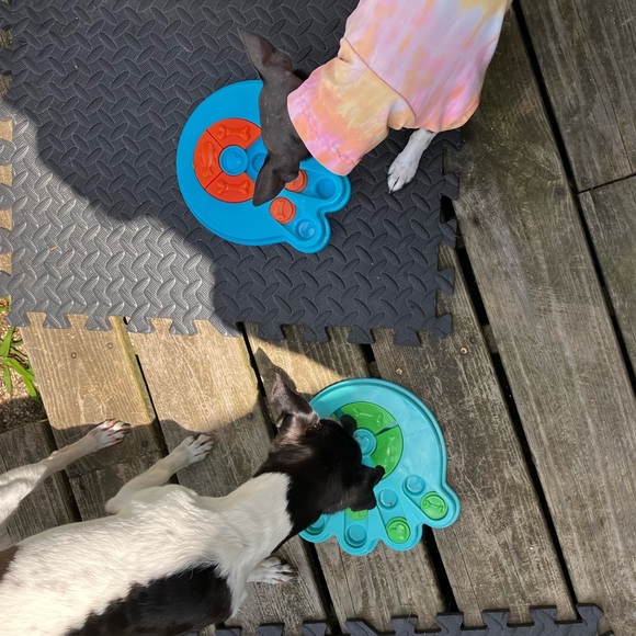 PUZZLE TOY *PAW SHAPE *DOG *CAT *IQ GAME *PUZZLE *HOST PICK *NWT - Picture 11 of 17